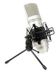 TASCAM TM-80 Large Diaphagm Condenser Microphone Front View